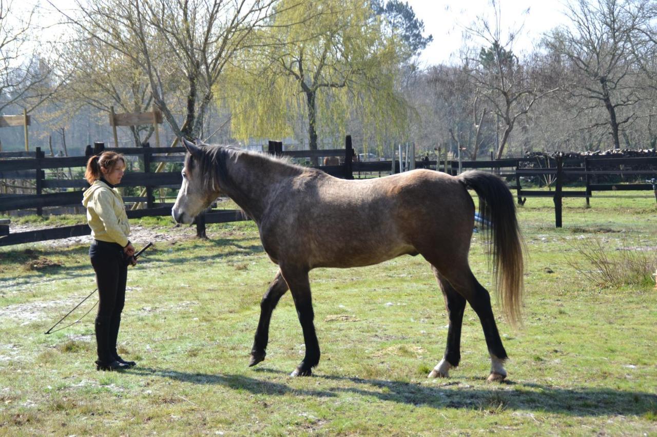 Le Ranch Amadeus Saint-Paul-en-Born Exterior foto