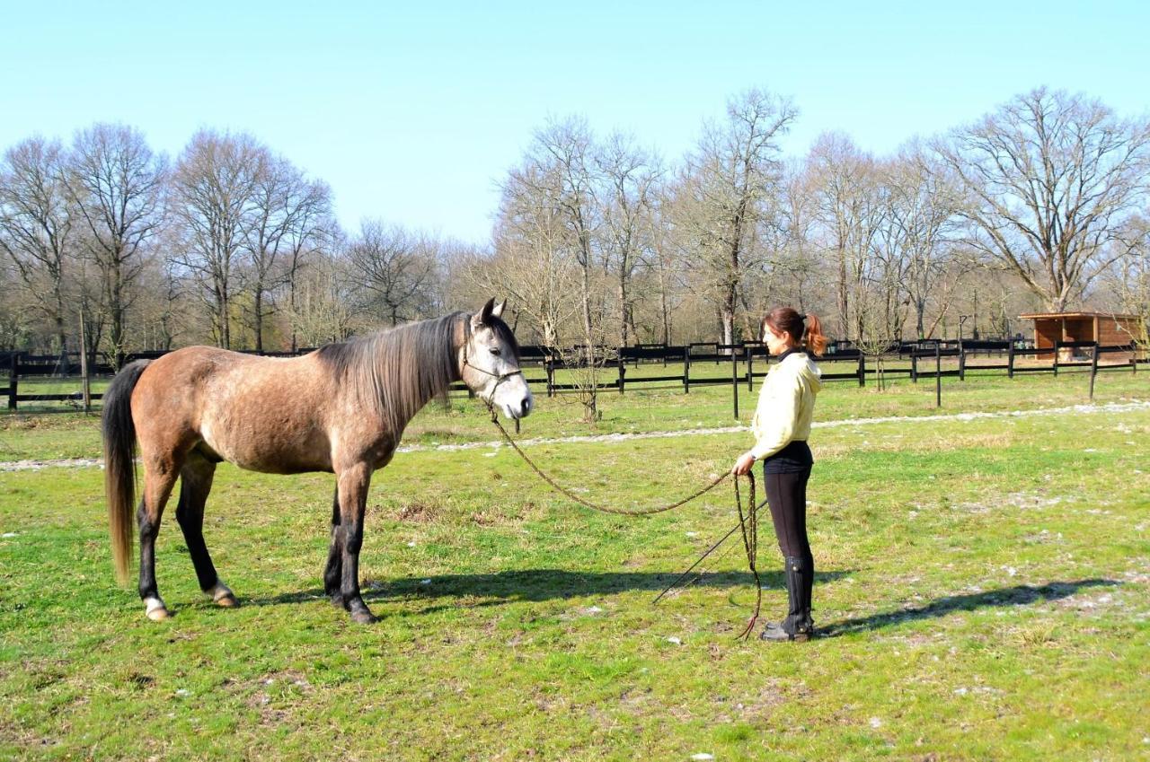 Le Ranch Amadeus Saint-Paul-en-Born Exterior foto