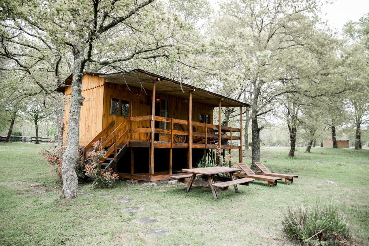 Le Ranch Amadeus Saint-Paul-en-Born Exterior foto