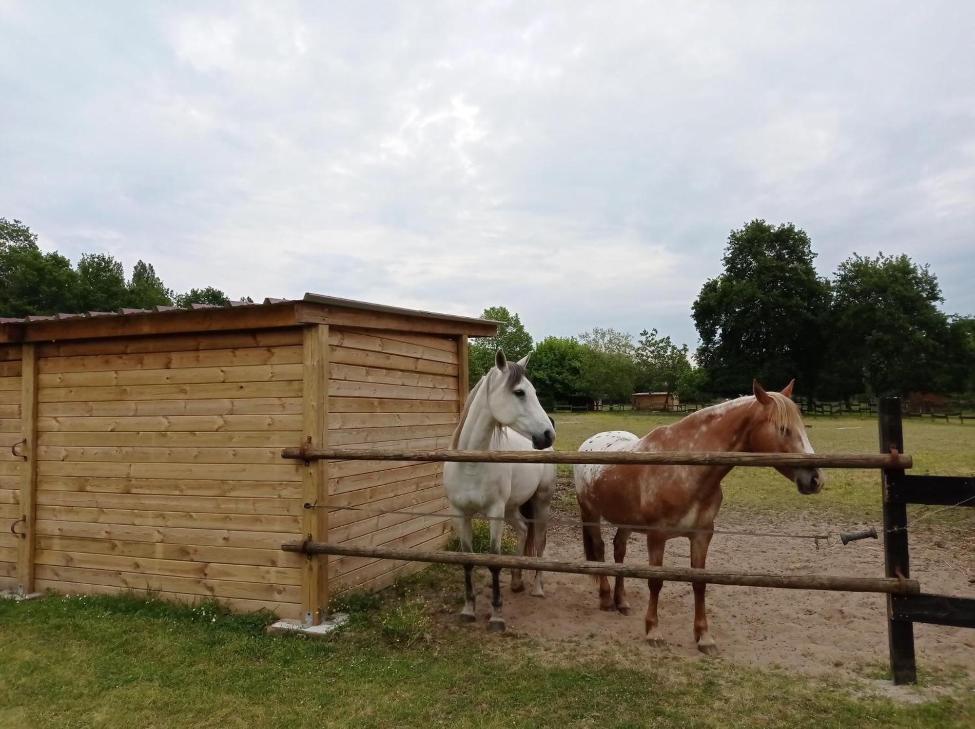Le Ranch Amadeus Saint-Paul-en-Born Exterior foto